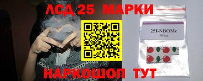 гидропоника Гусиноозёрск
