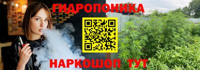 гидропоника Гусиноозёрск