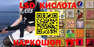 гидропоника Гусиноозёрск