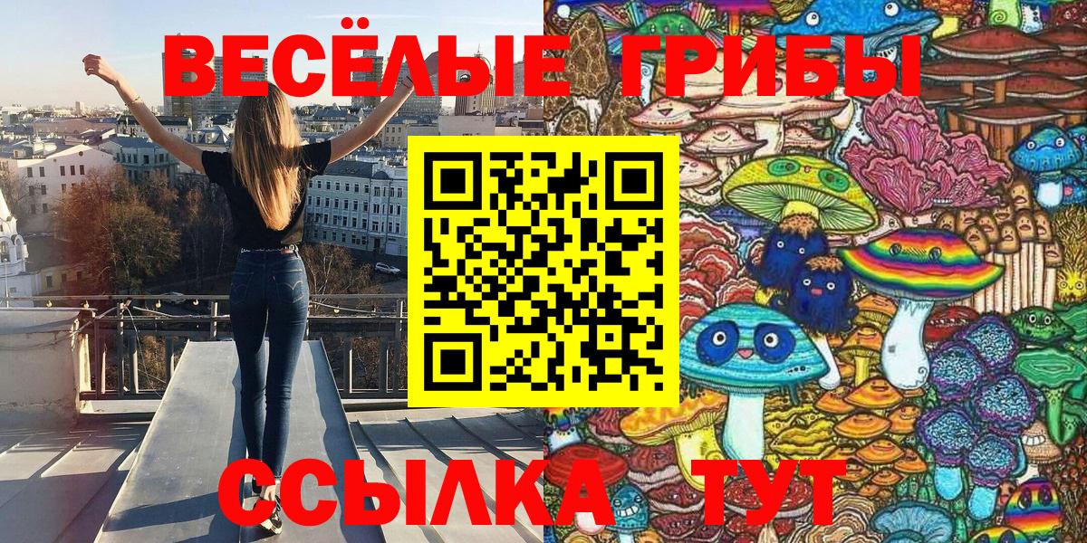 Новокуйбышевск  Галлюциногенные грибы мицелий  Вход с VPN 